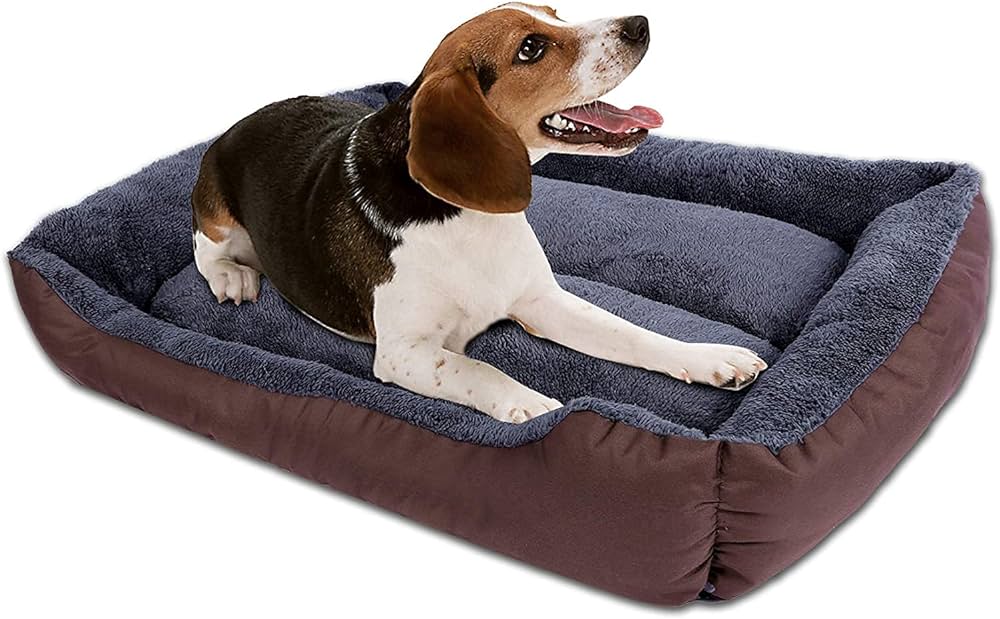 Dog and cat beds and clothes