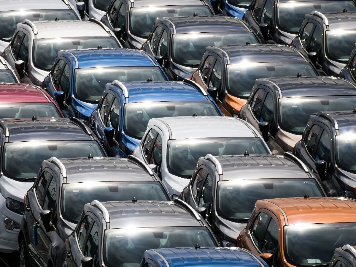 How do i get a license to buy cars at auctions